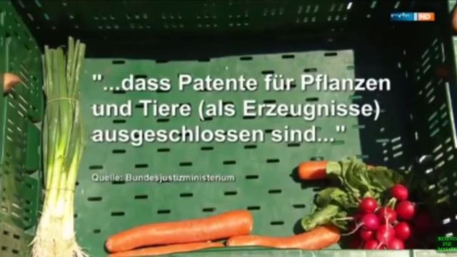 Patent auf Brokkoli 😳. ➡️➡️ Quelle MDR #darmgesundheit #darm #gesundheit #lebensmittel смотреть онлайн