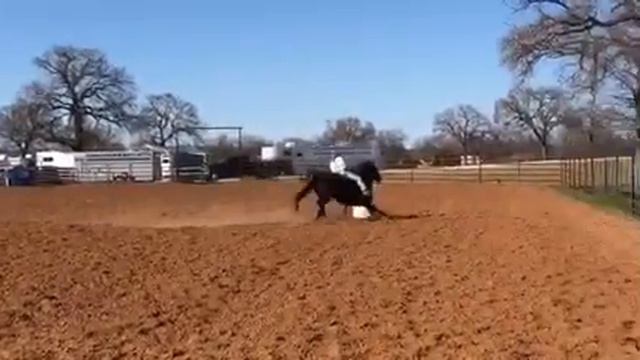 Harley at home hot corona mare смотреть онлайн