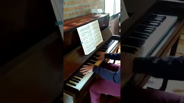 Piano Vertical Karl Schultz смотреть онлайн