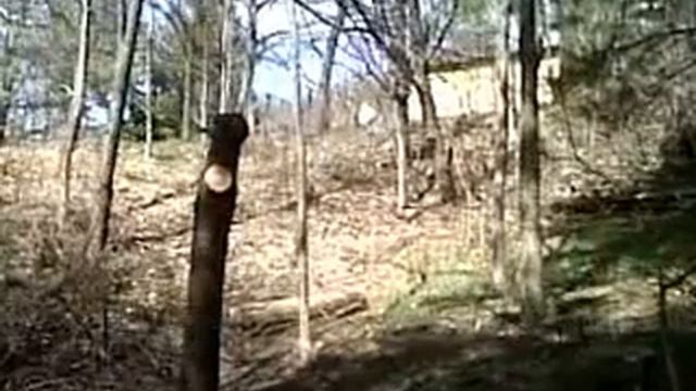Panda Multi Uso смотреть онлайн