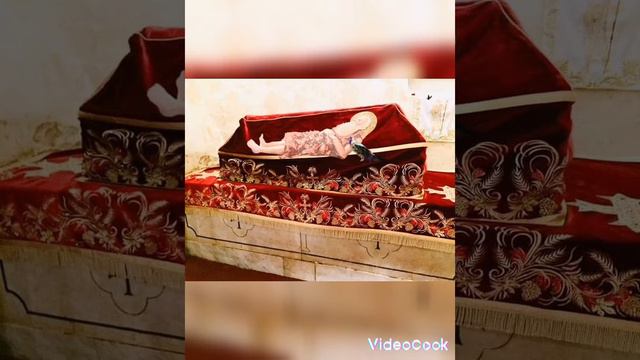 يعجز اللسان عن وصفك ايها البار العظيم الانبا بولا اول السواح.+ يكفينا النظر لوجهك الكريم اذكرنا смотреть онлайн