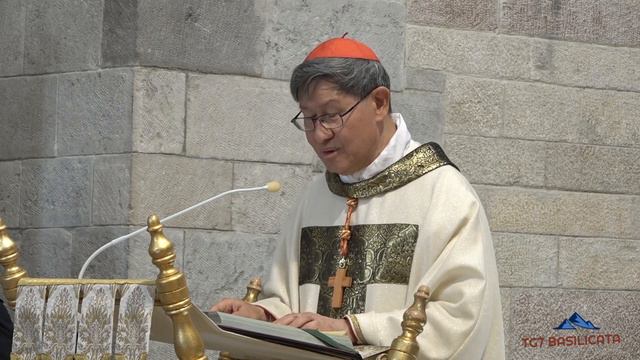 TG7 Basilicata Melfi. Omelia S.E. Cardinale Luis Antonio Gokim Tagle смотреть онлайн
