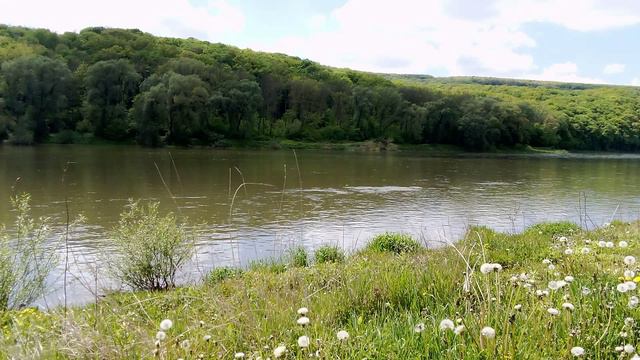 Красивый вид на реку Днестр смотреть онлайн