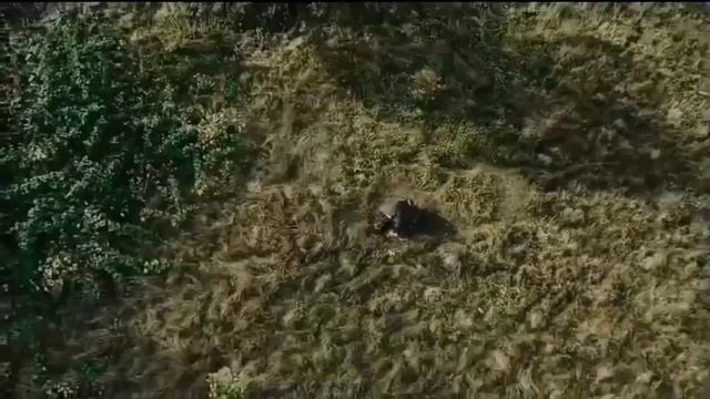 Da Vinci’s Demons || Paolo Buonvino & Skin - Renaissance смотреть онлайн