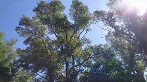 Ирек Ноғоманов  - Ғүмер бер генә