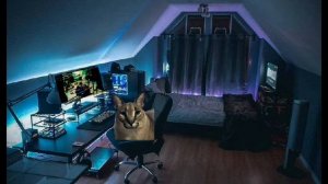 шлепа сбежал. 3 серия