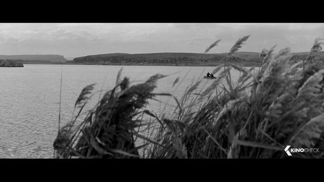 GRAIN Trailer German Deutsch (2018) смотреть онлайн