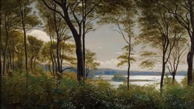 Manuel Blasco De Nebra: Sonata No.5 En Fa Sostenido Menor, Op. 1