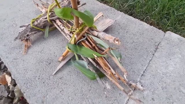 All-natural materials little ship смотреть онлайн