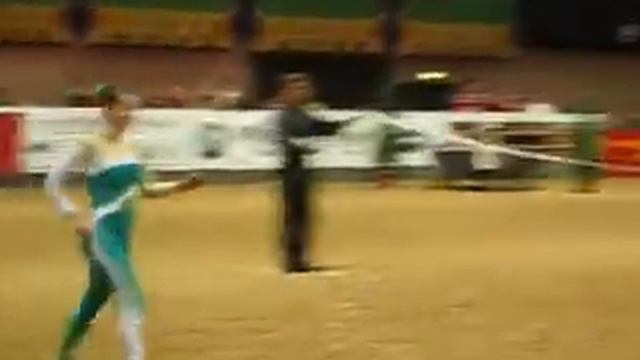 Hippologica 2010 смотреть онлайн