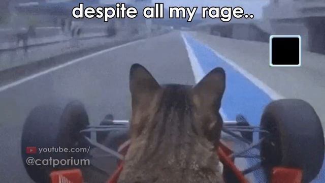 Overwatch 2 but with cats смотреть онлайн