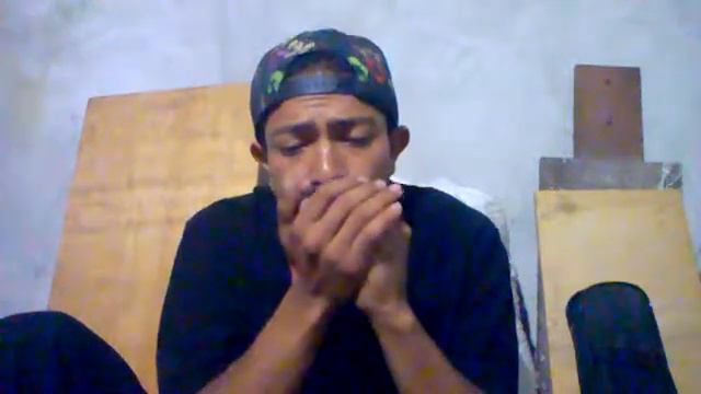 Cover del vals Siciliano "Brucia la Terra" de Nino Rota. En harmonica C. смотреть онлайн