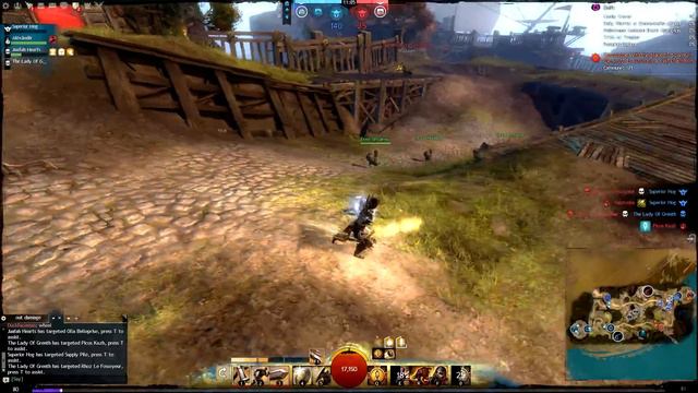 Zerk Warrior in Stronghold - Guild Wars 2 смотреть онлайн