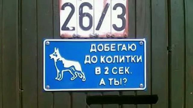 баран восточный Михаил Александрович смотреть онлайн