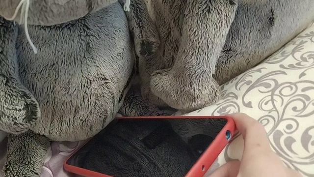 басик в школе. жирная двойка 2😹😹😹🤣🤣😿 смотреть онлайн