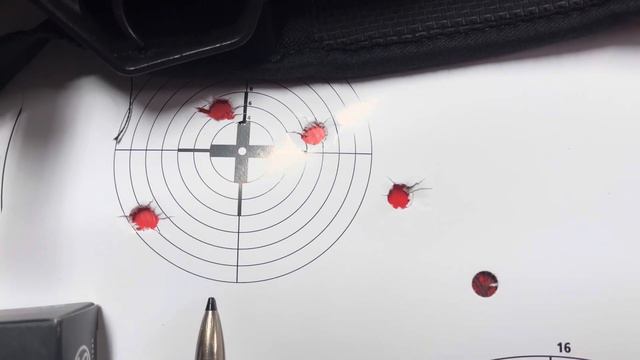 Agrupaciones Del Rifle Beretta Brx1 Pulsar Digex Burris Rws Y Geco -Selec -bellot 308