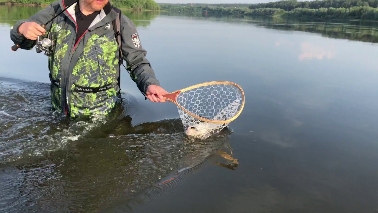 Охота за летним голавлем | Андрей Зубанов