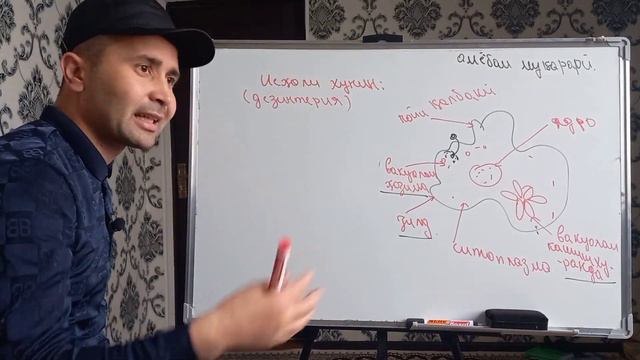 Содатаринҳо 02.|Сохти амёбаи муқаррар, амёбаи исҳоли хунин ва Нурдорон смотреть онлайн