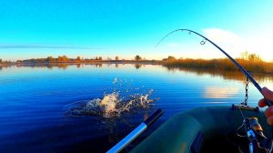 Одна поклёвка может сделать всю рыбалку! ОСЕННЯЯ РЫБАЛКА на СПИННИНГ