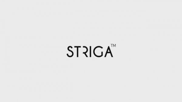 Обучение в школе STRIGA ™😍
