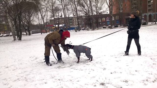Анубис.4,5 месяца. Ноябрь 2017. смотреть онлайн