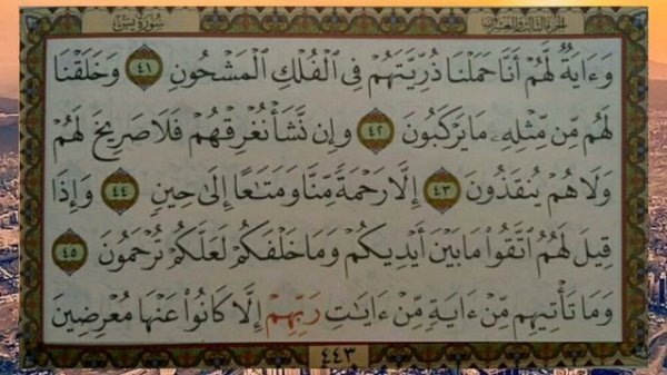 Al   Qur'an Surah Yasin   Sheikh Bandar Baleela