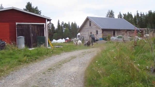 Valla getterna смотреть онлайн