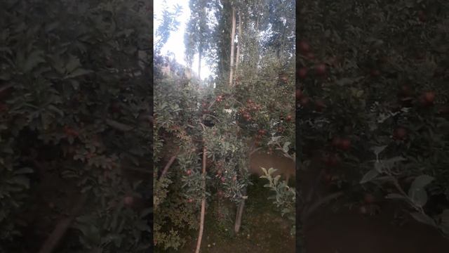 Малая родина моя .... смотреть онлайн