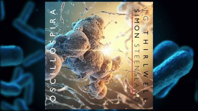 JG Thirlwell & Simon Steensland "Heron" смотреть онлайн