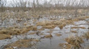 Половодье на реке Суре -2023! Всё затопило!