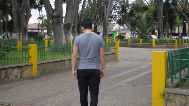 Nelson Parra, el concejal mas joven del país es condecorado смотреть онлайн