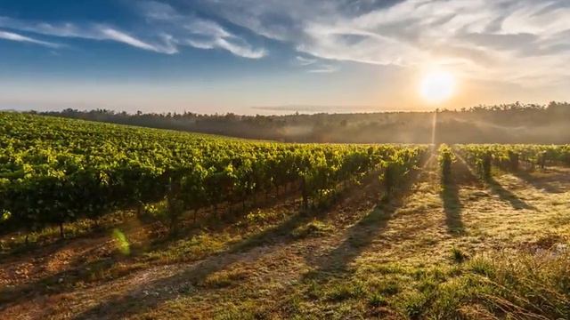 먼훗날 김소월시 김성은 바리톤 박용민 한국가곡 Korean song ''먼 훗날 당신이 찾으시면 그때에 내 말이 '잊었노라' смотреть онлайн