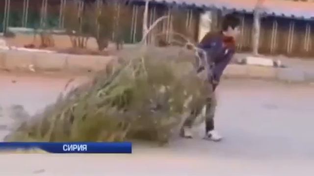 казахи: запад и путин только добили браткие народы Сирии и Украины,вот и все чего они добились смотреть онлайн