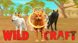 Игра за волка в ЕГИПТЕ и открытие сундуков  WildCraft