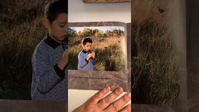 Fall Changes, by Ellen B. Senisi смотреть онлайн