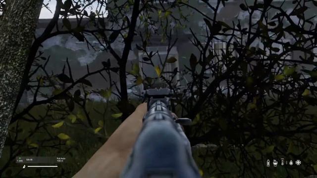 DayZ patience is key смотреть онлайн