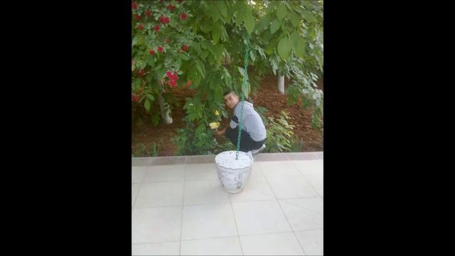 hadi hadi yavrum.wmv смотреть онлайн