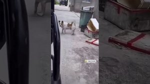 небойся.mp4