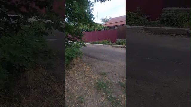 Отзыв клиента на электроквадроцикл WHITE SIBERIA SNEG MINI смотреть онлайн