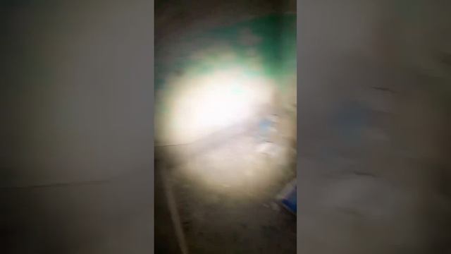 廢棄房屋探靈 20240127 смотреть онлайн