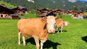 Адельбоден, Швейцария. Пешеходная экскурсия 4K - Самые красивые швейцарские деревни | #шариклайф