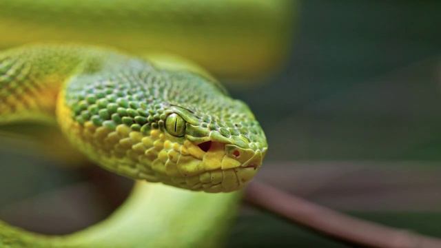 Всем доброго утра и хорошего дня! смотреть онлайн