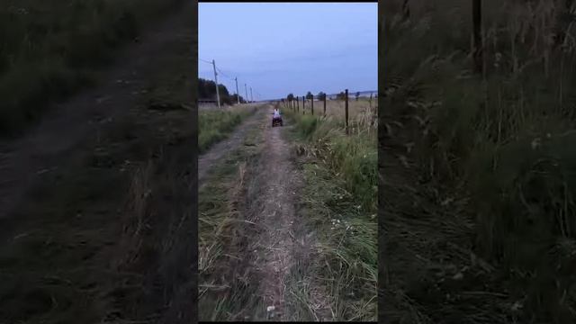 Отзыв клиента на электроквадроцикл Green Camel Гоби K40 смотреть онлайн