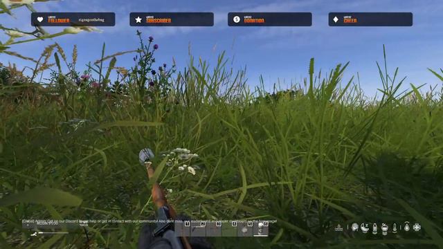 HARDCORE DayZ - IntenZ Cherno! #2 !yt !twitch смотреть онлайн