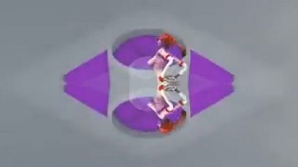 contact lens euro to dollar