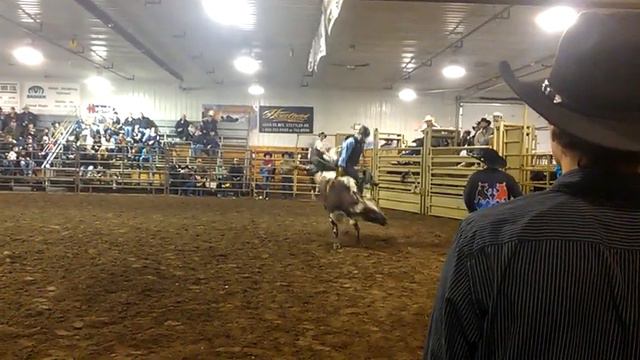 Justin Siemens 85 points on Mickey Marshall (KA) Stettler, AB EPB 2011 смотреть онлайн
