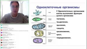 Биология 9 класс урок1 19.09.2024