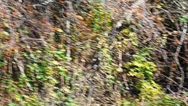 Homes for Sale - L4.01-7 Dutch Mill Road Franklinville NJ 08344 - Joseph Contino смотреть онлайн