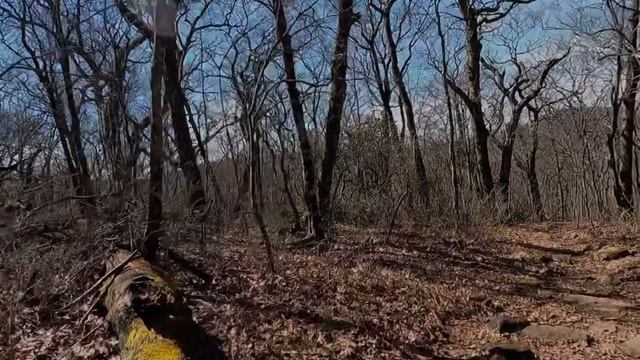 Silers Bald Shelter to Cold Spring Gap | Appalachian Trail Thru Hike Day 11 смотреть онлайн