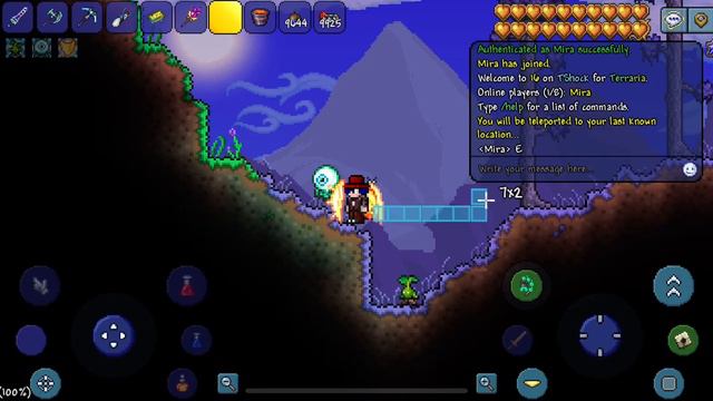 Random Terraria Server I made. смотреть онлайн